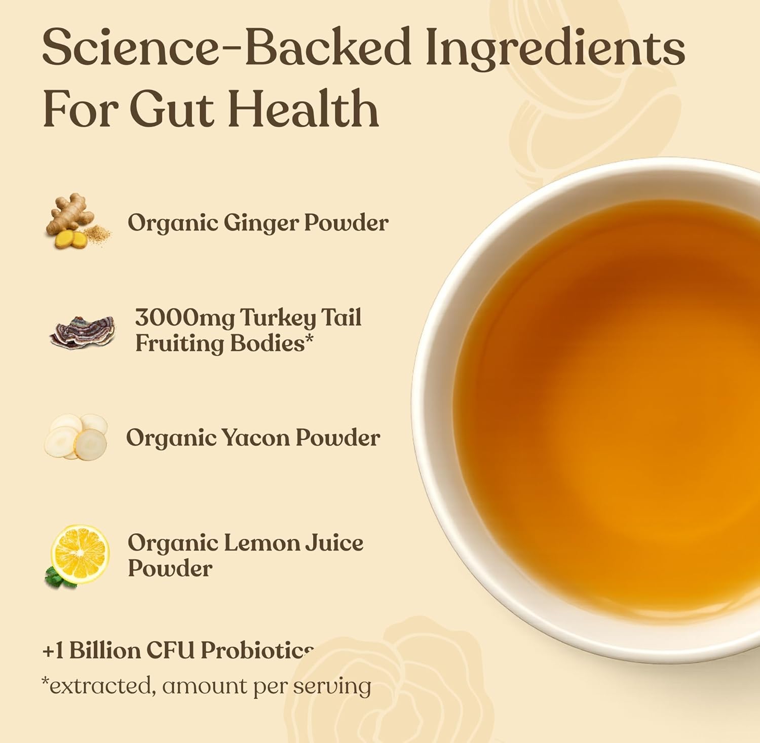 Four Sigmatic Gut Health Organic Herbal Tea Organic Lemon Ginger Tea with Probiotics & Turkey Tail Mushroom 24 Servings - Image 5