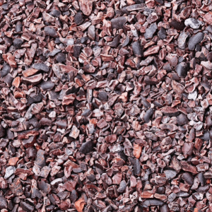 Organic Cacao Nibs BULK