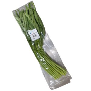 BLUEJAY MORNING GLORY 200G
