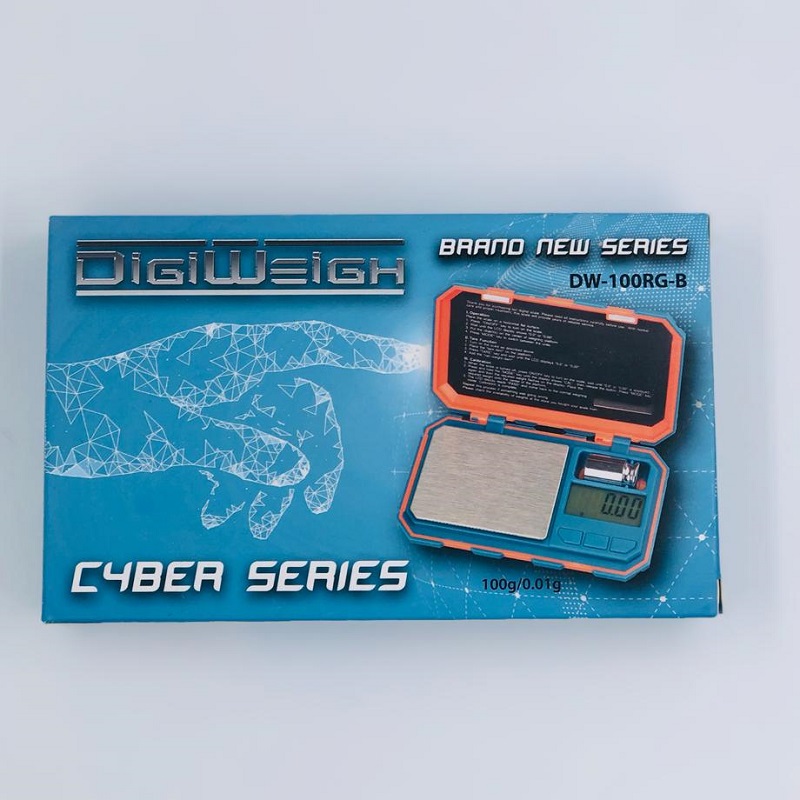 Digi Weigh Cyber Series RG - Image 3