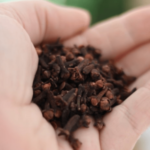 Organic Whole Cloves BULK