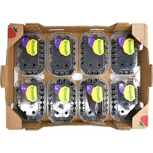 Blackberry Box