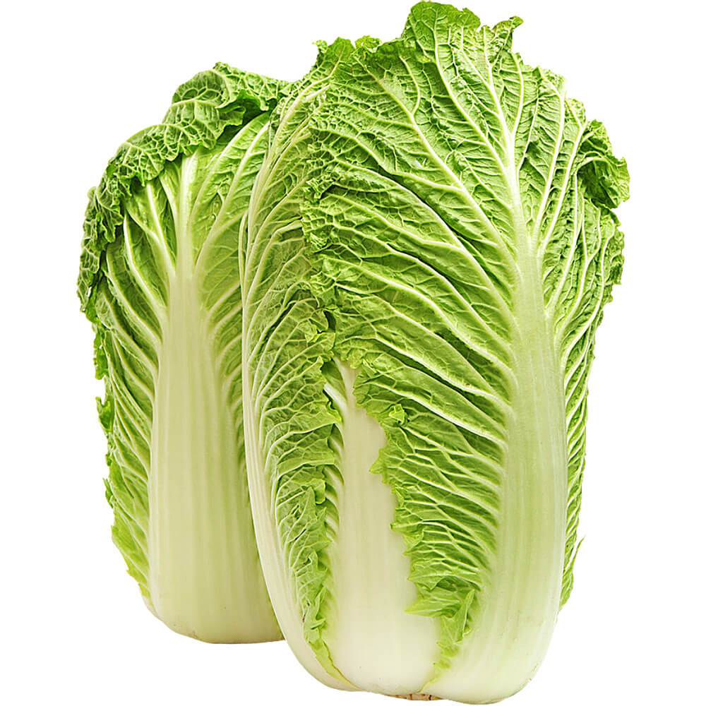 Cabbage Chinese - Image 2