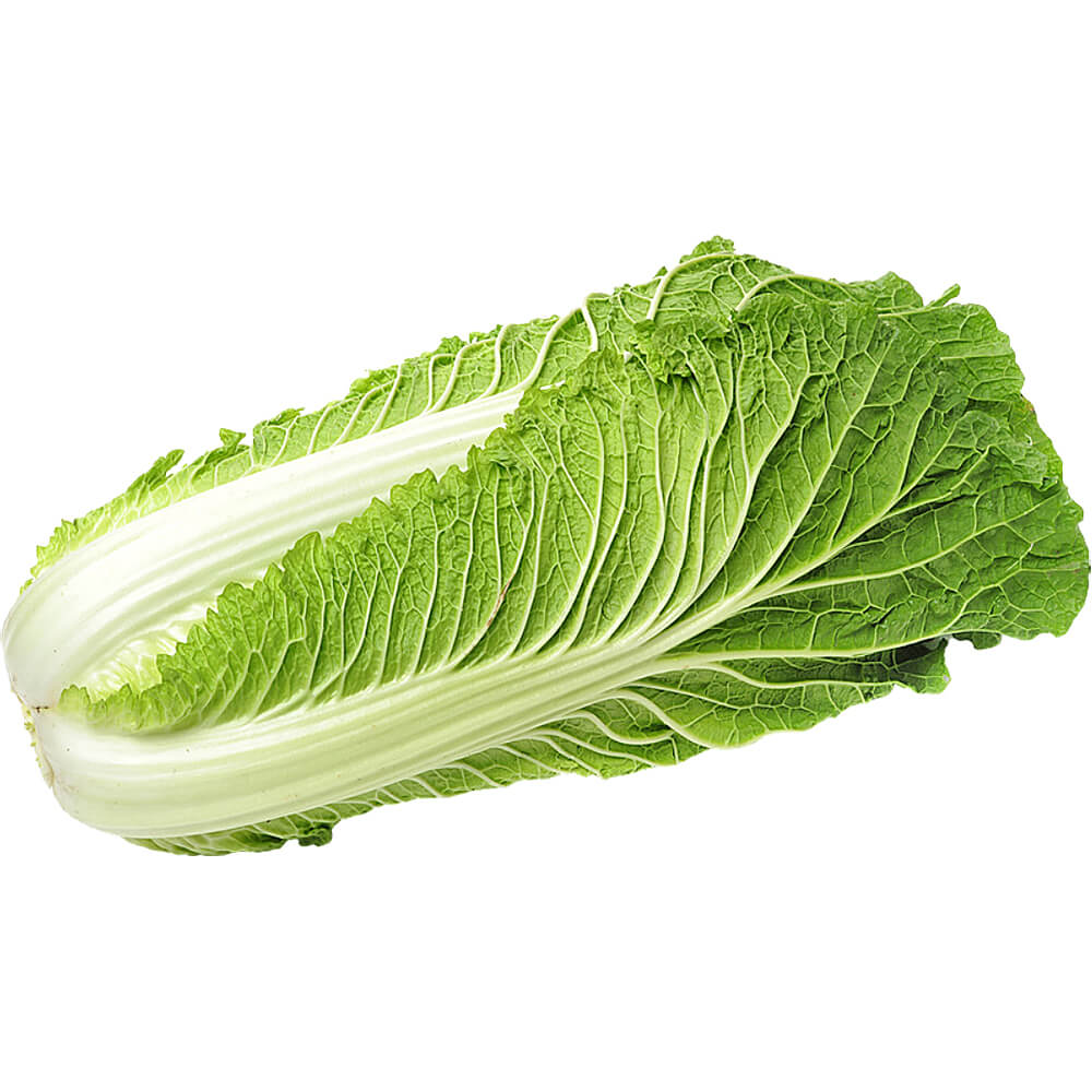 Cabbage Chinese - Image 3