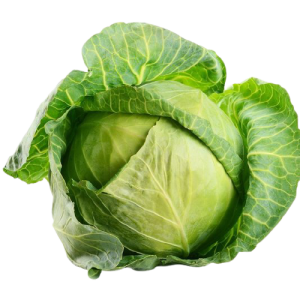 Cabbage Medium