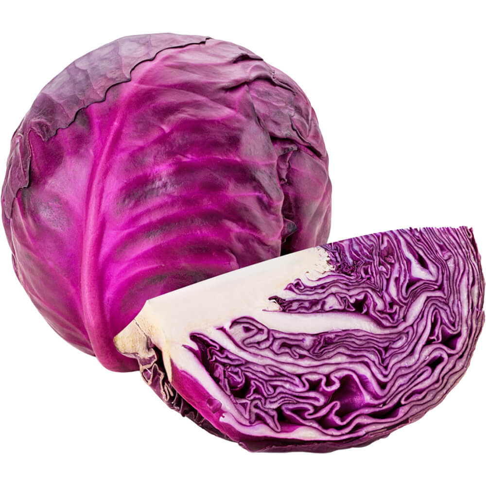 Cabbage Red - Image 2