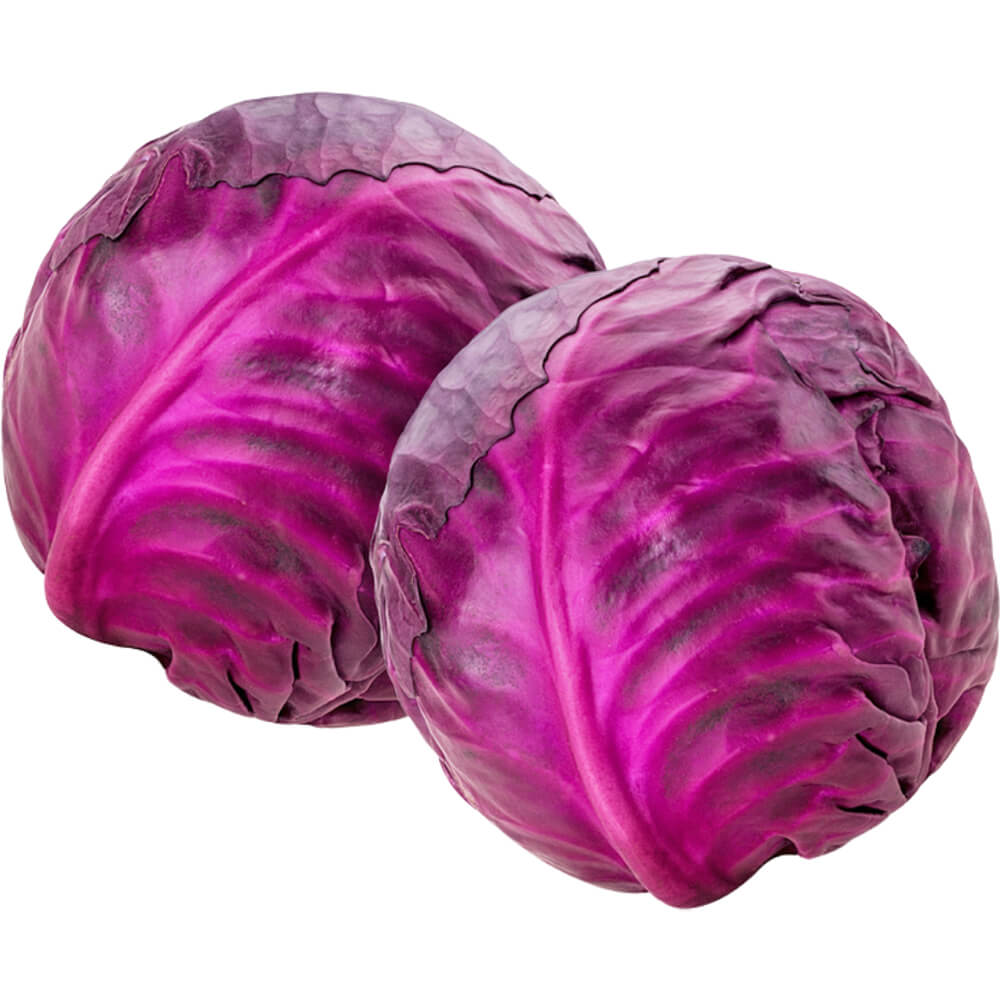 Cabbage Red - Image 3