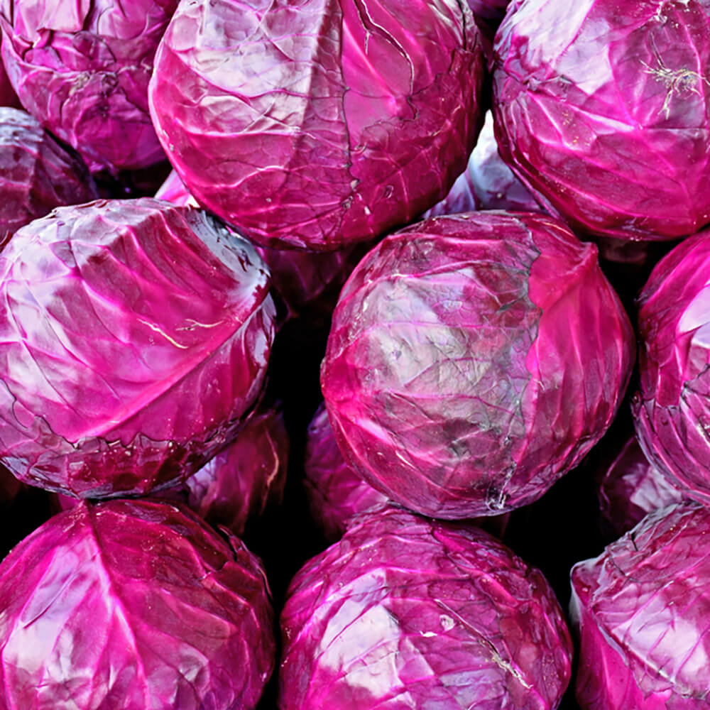 Cabbage Red - Image 5