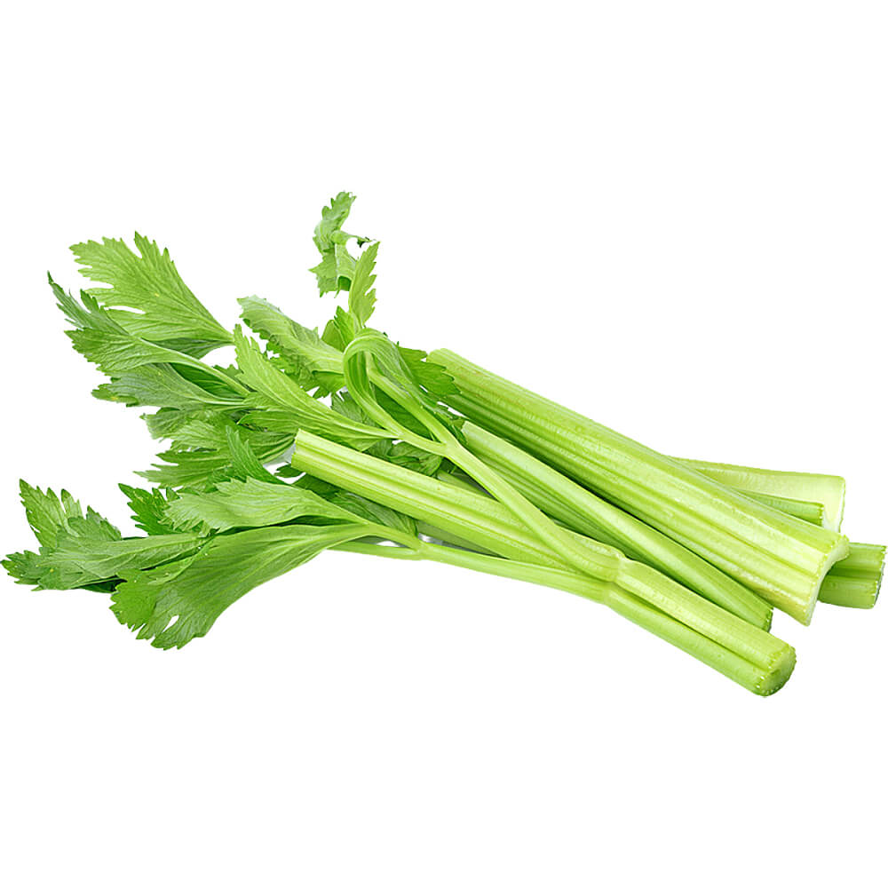 Celery - Image 2