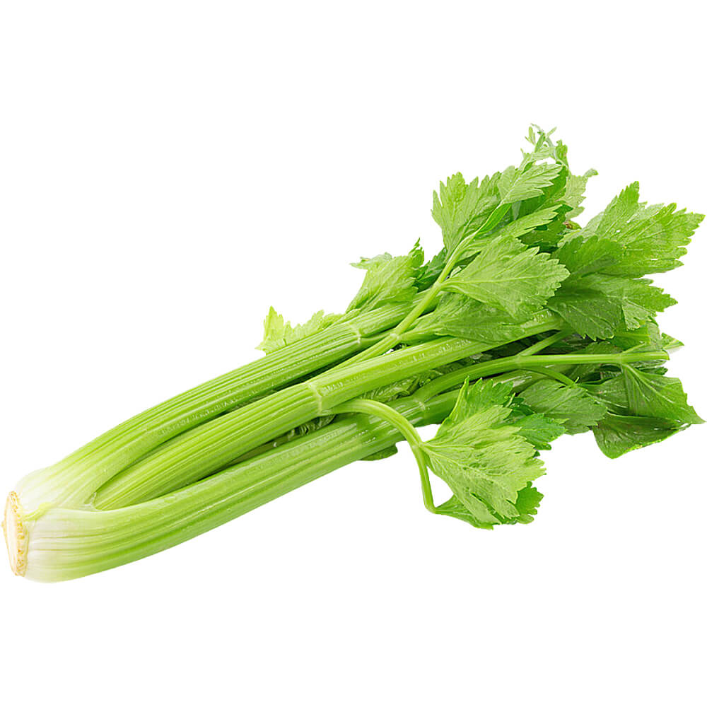 Celery - Image 3