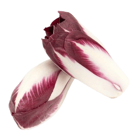 Chicory Red