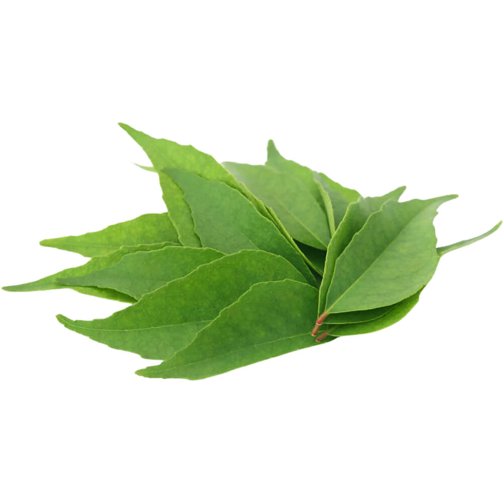 Curry Leaves - Image 4