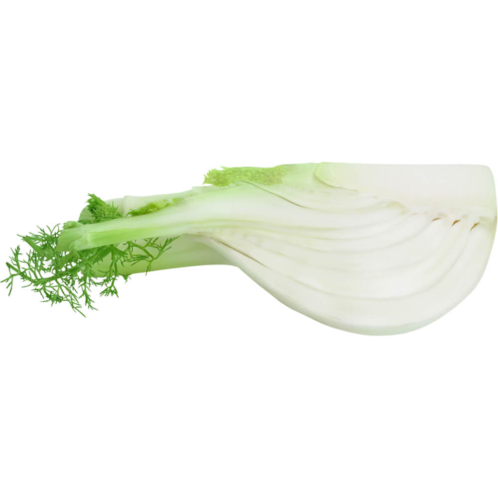 Fennel - Image 3