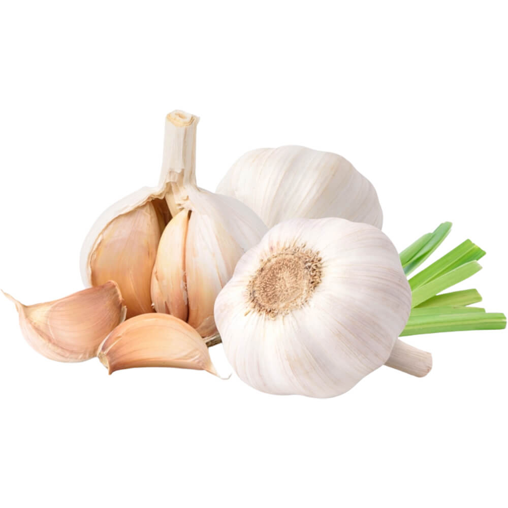 Garlic India - Image 2