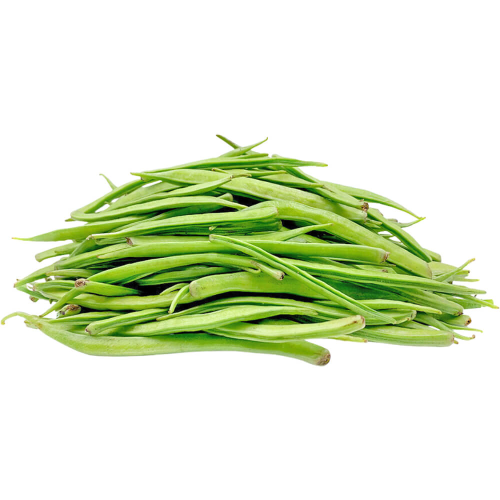 Guar - Image 2