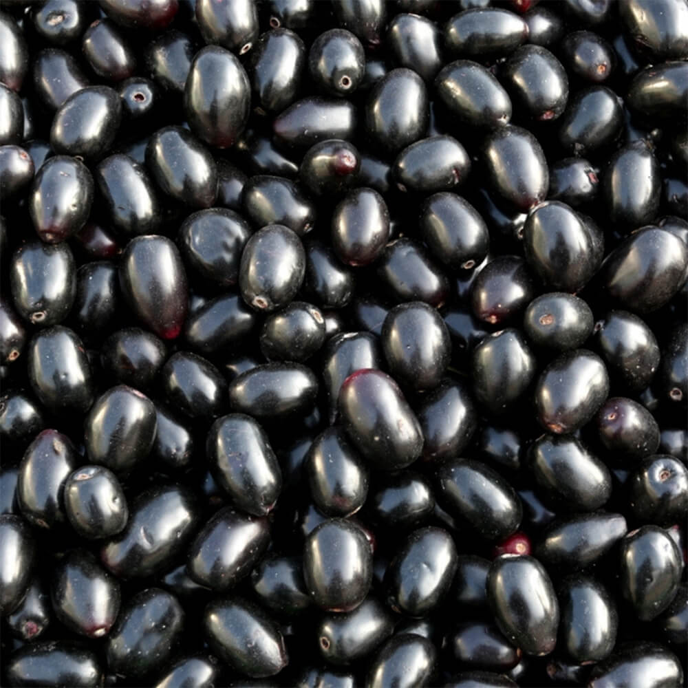 Jamun Fruit Premium Pakistani - Image 5