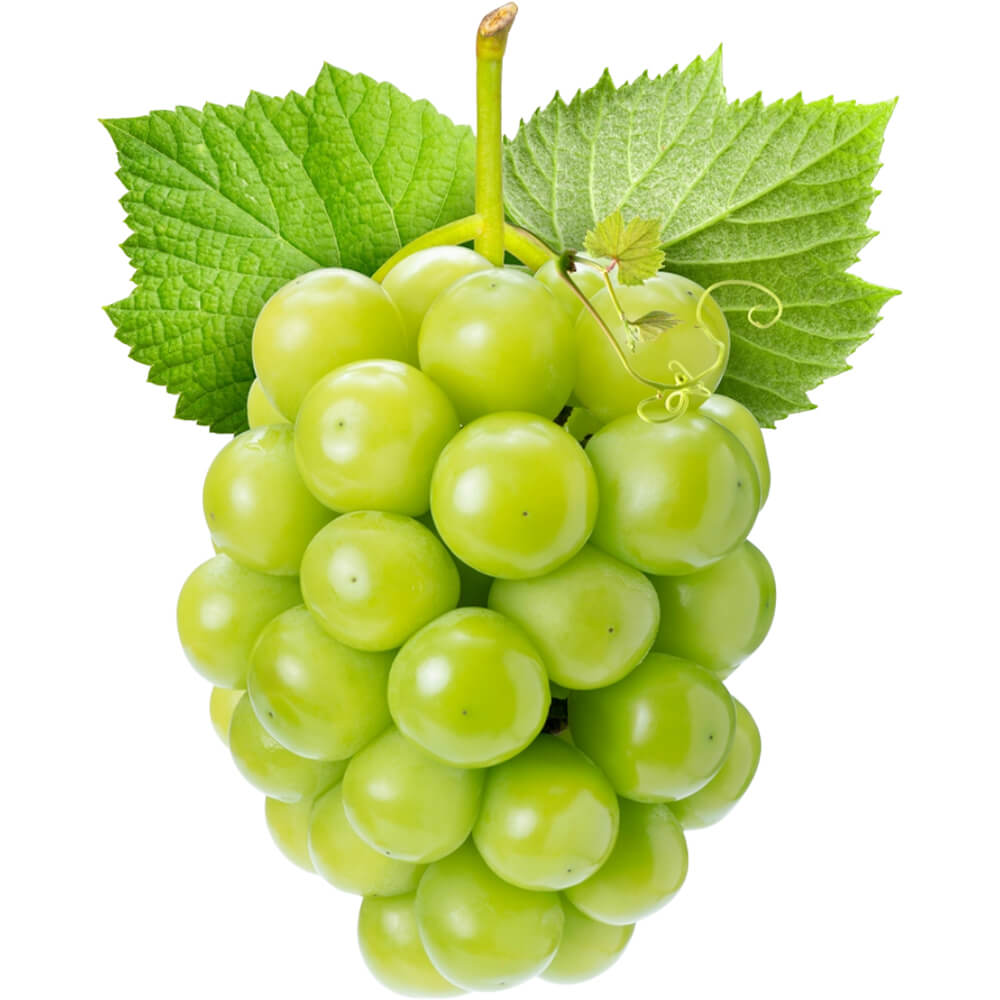Grapes White Shine Muscat (Japanese Grapes / Korean Grapes) - Image 3