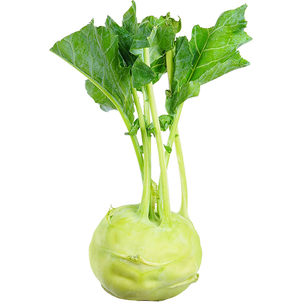 Kohlrabi - Image 3