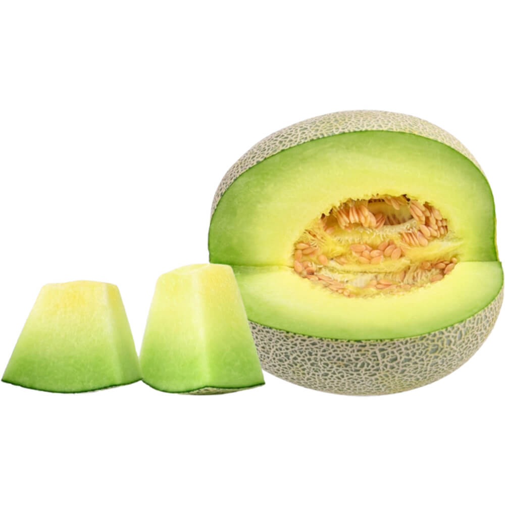 Melon Honeydew - Image 4