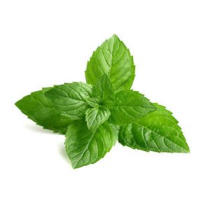 Deli Mint Leaves (per pack)
