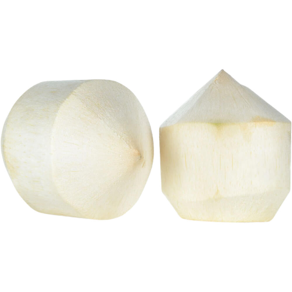 Tender Coconut Vietnam - Image 4
