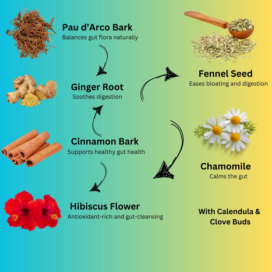 Gut Balance Herbal Tea to Support Digestive Comfort Gut Health & Daily Wellness - Image 4