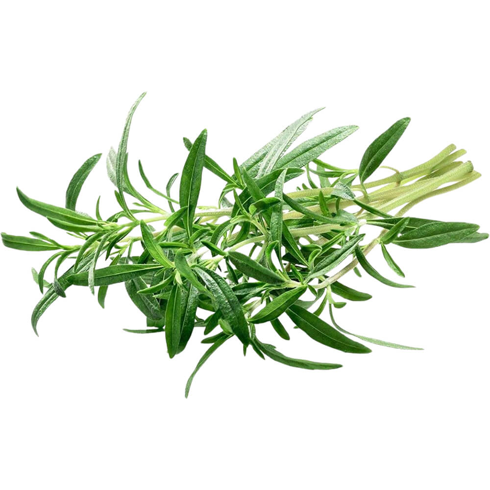 Zaatar