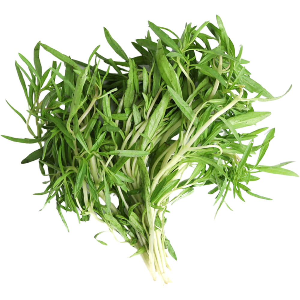 Zaatar - Image 3